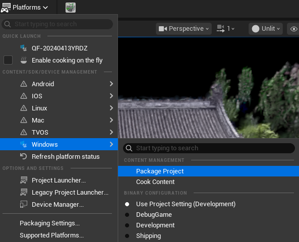 Package a Windows project